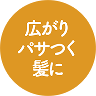 広がりパサつく髪に