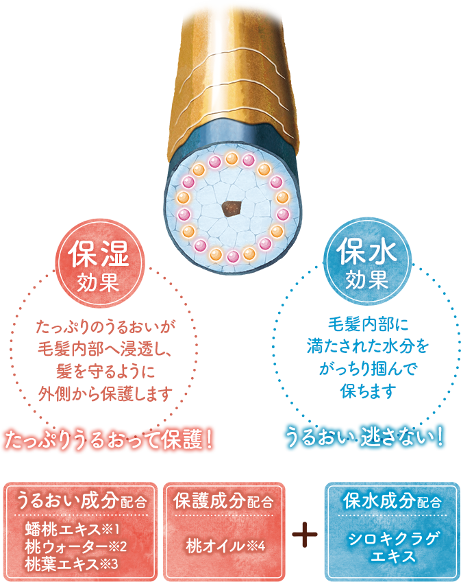 保湿効果 たっぷりのうるおいが毛髪内部へ浸透し、髪を守るように外側から保護します 保水効果 毛髪内部に満たされた水分をがっちり掴んで保ちます